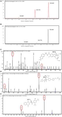 Maternal, newborn and breast milk concentrations of elexacaftor/tezacaftor/ivacaftor in a F508del heterozygous woman with cystic fibrosis following successful pregnancy